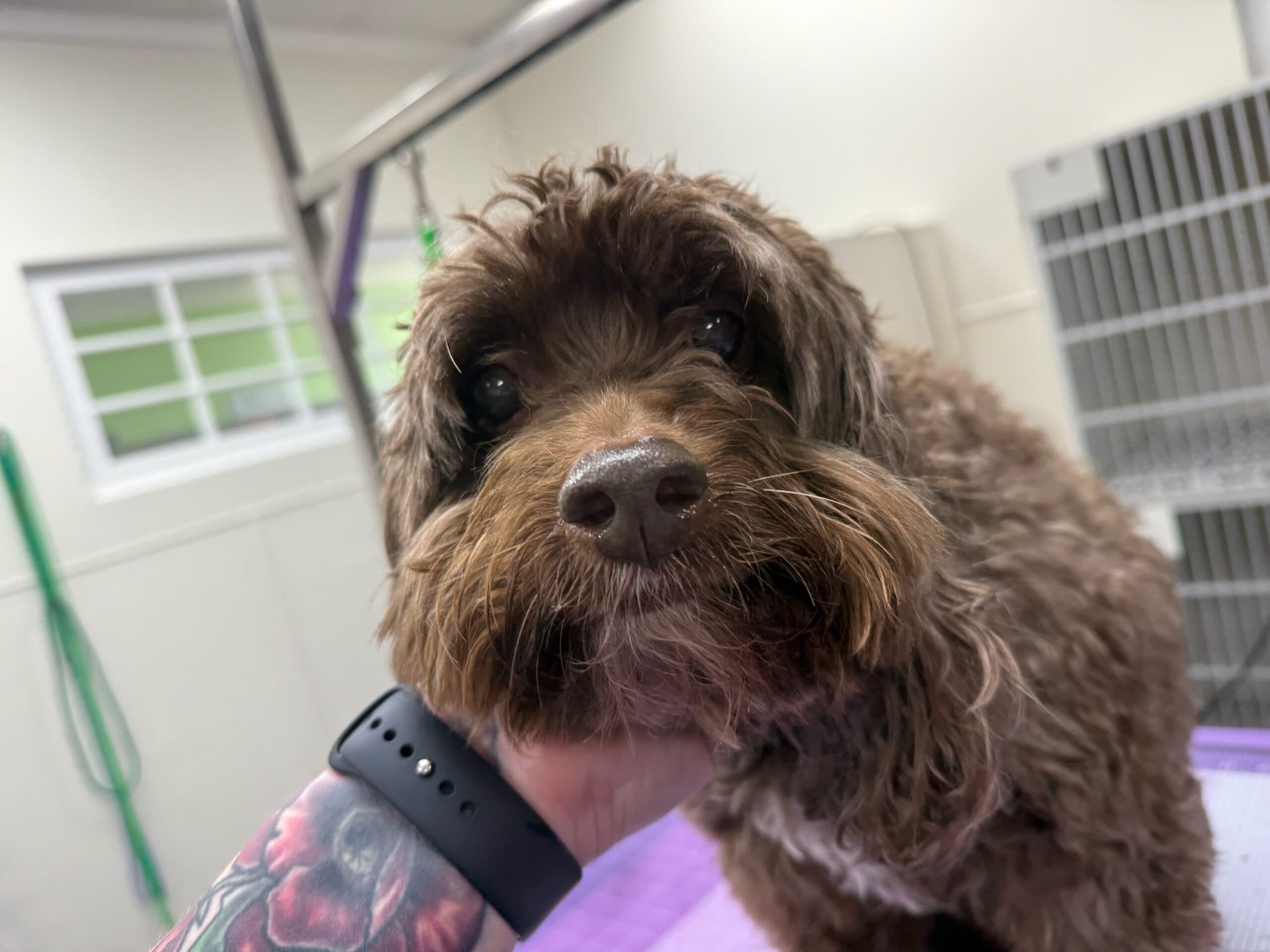 Smiling after spa day