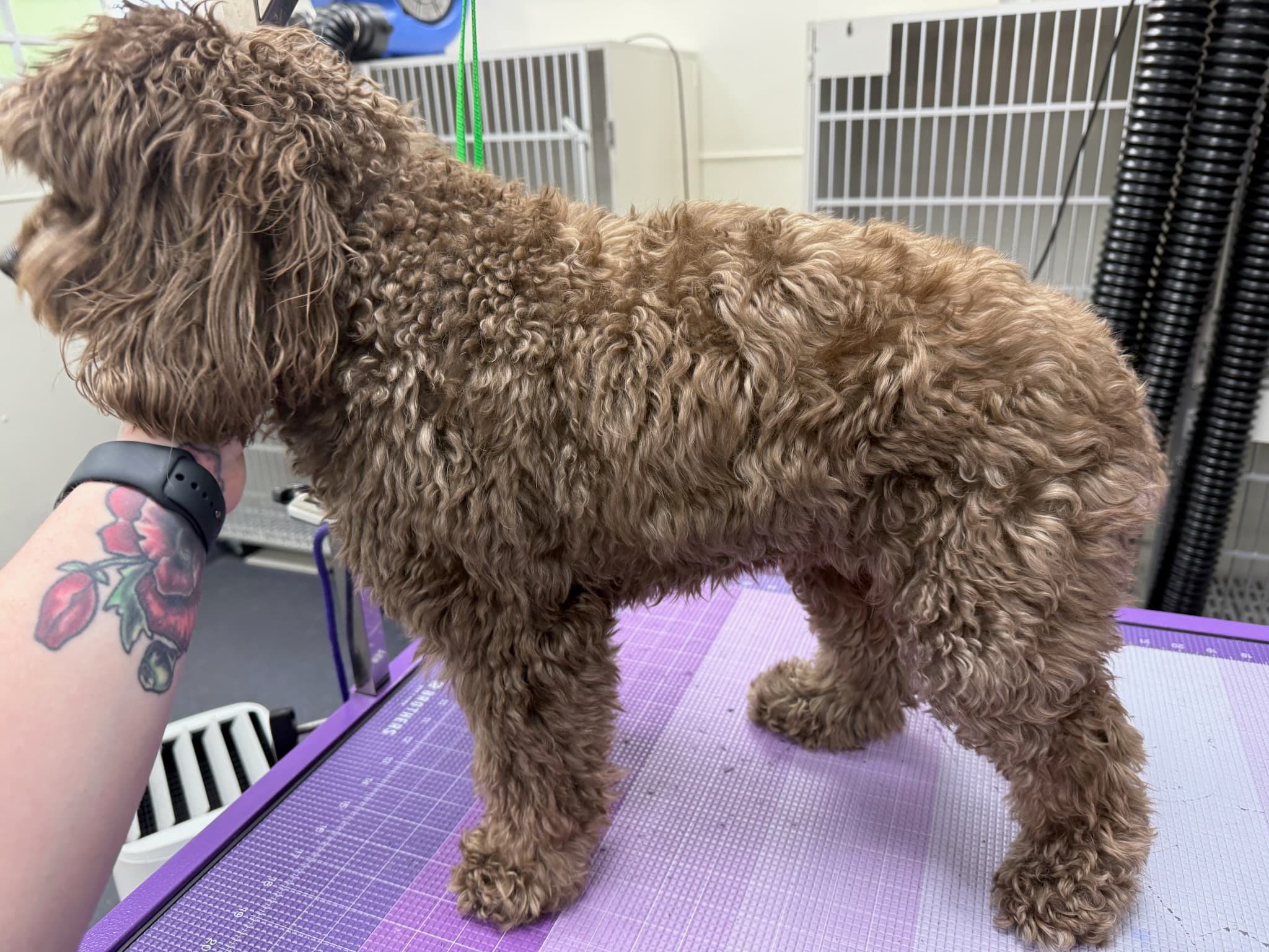 Looking dapper post-groom