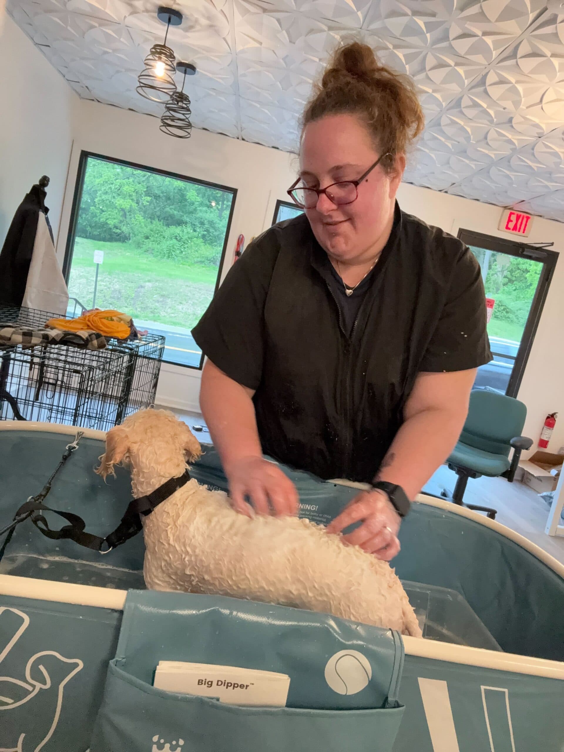 Our expert groomer at work